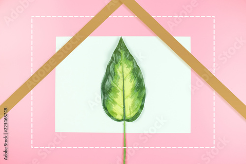 blank card with green leaves on pink background