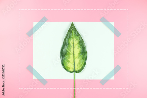 blank card with green leaves on pink background