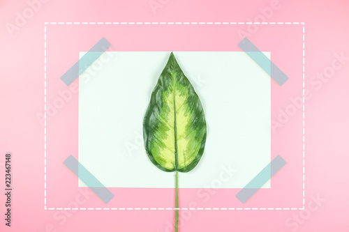 blank card with green leaves on pink background