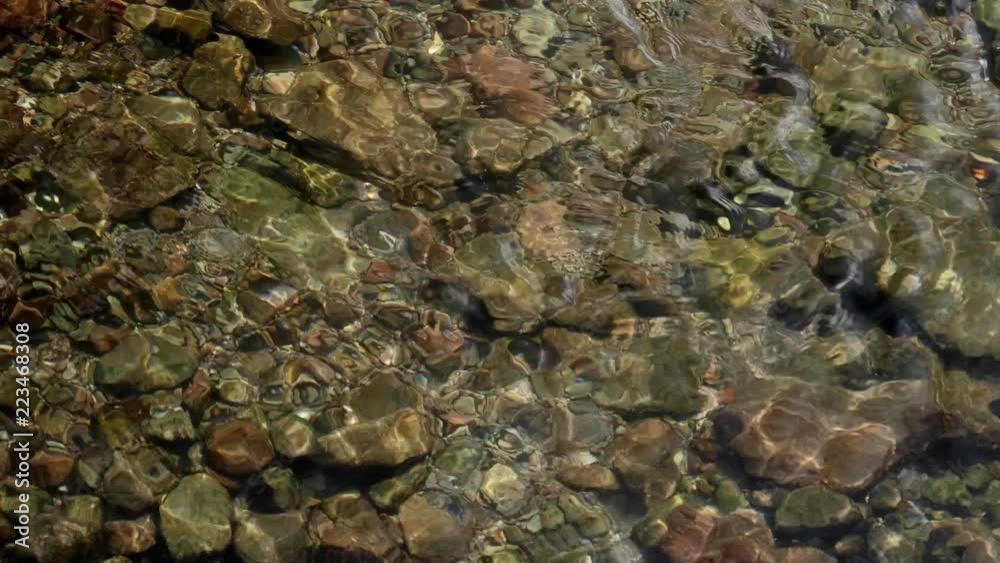 ゆらめく水面 ゆらめく水面