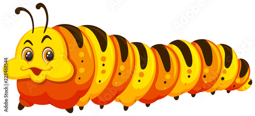 A caterpillar on white background