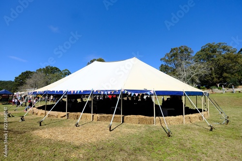 Festival catering tent in summer 