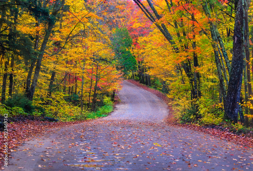 Fall Colours at Algonquin, Ontario along a winding road photo
