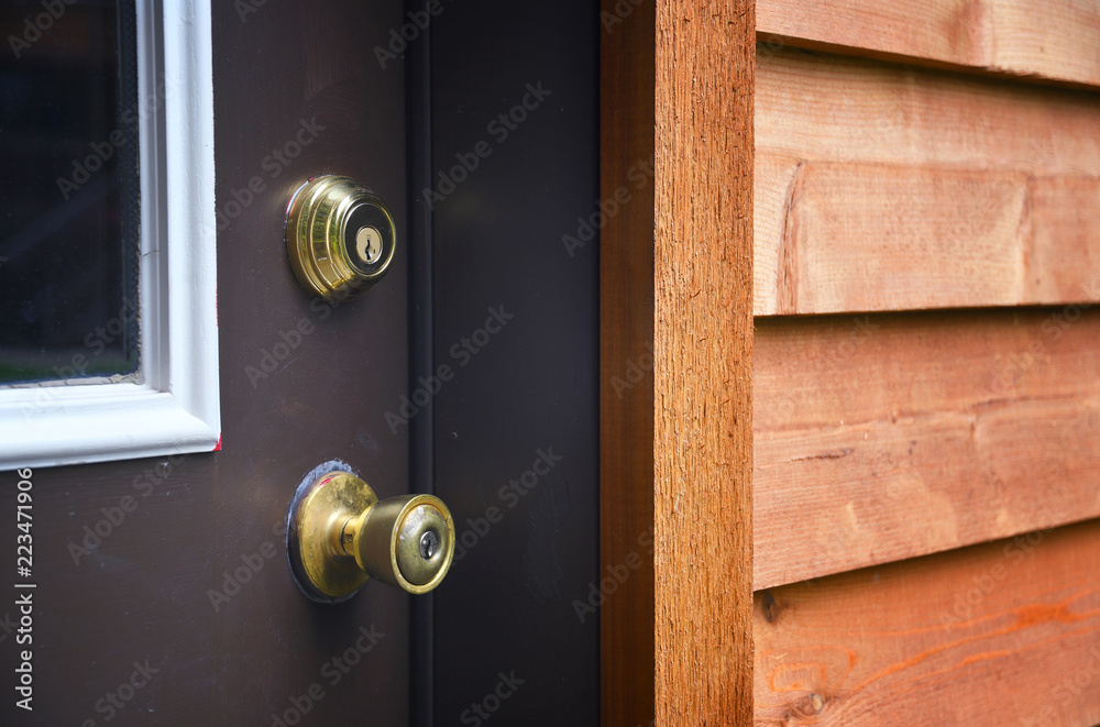 Obraz premium Door Locks