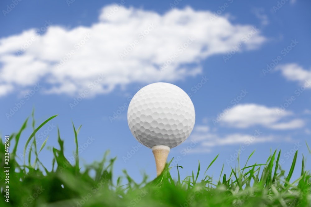 Golf Ball in grass background Golf Ball in grass background