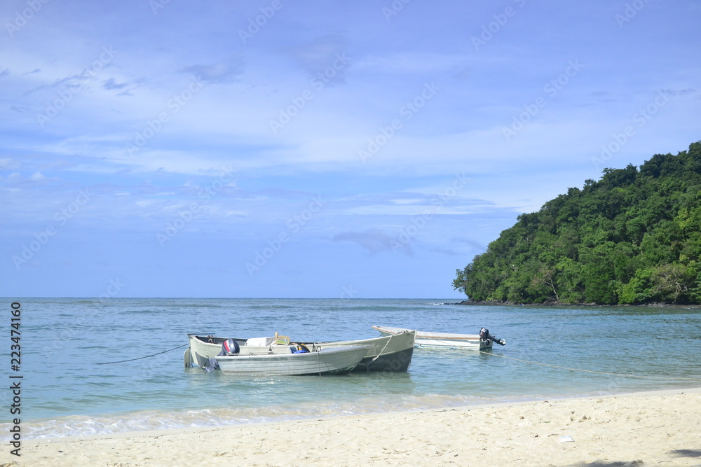 Fototapeta premium boat on the beach