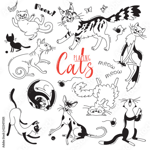 Set with playing cats of different breeds. Characters cat in the style of doodle cartoon. Vector illustration