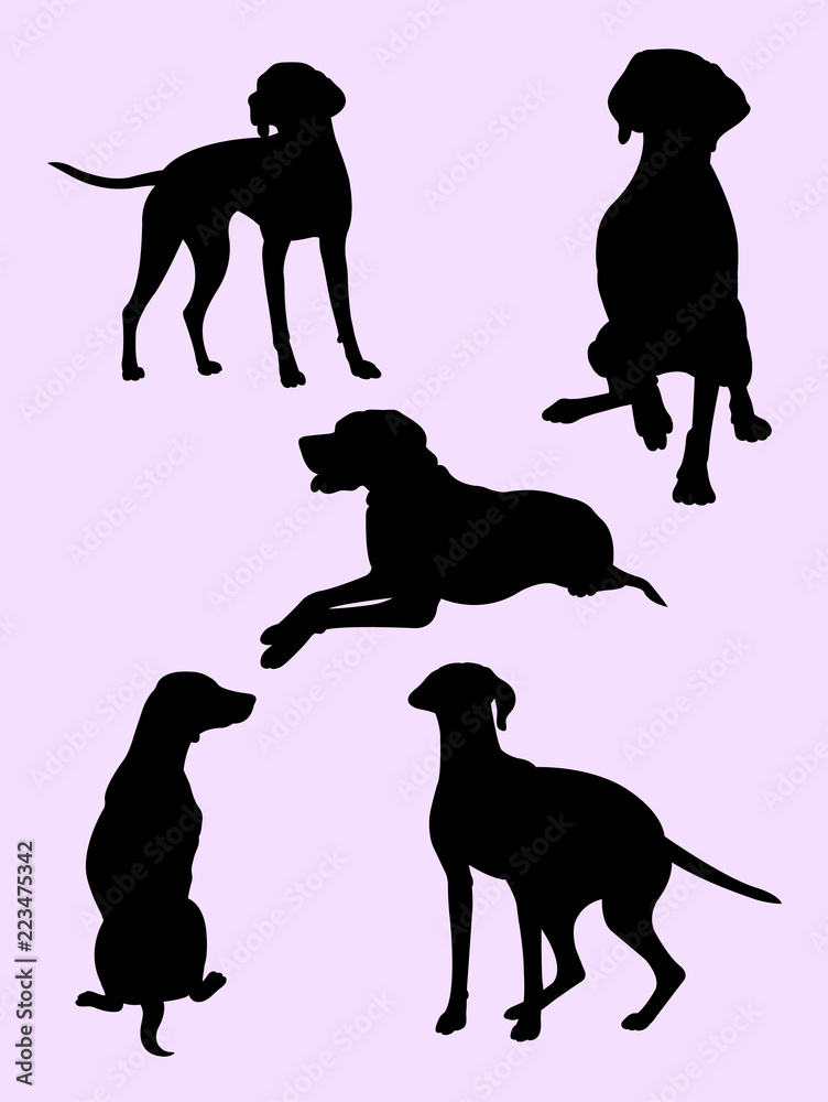 Viszla dog silhouette 01. Good use for symbol, logo, web icon, mascot, sign, or any design you want.