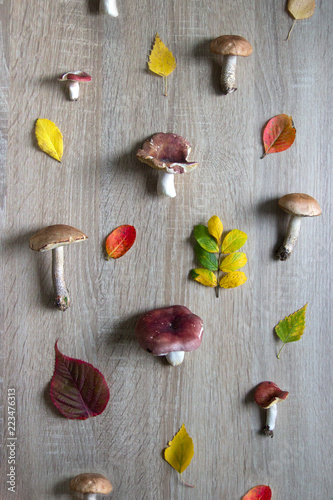 wooden background is white on it autumn mushrooms and leaves