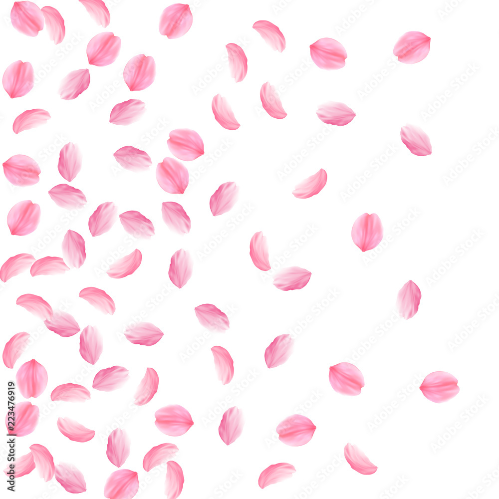 Sakura petals falling down. Romantic pink silky medium flowers. Sparse flying cherry petals. Left gr Sakura petals falling down. Romantic pink silky medium flowers. Sparse flying cherry petals. Left gr