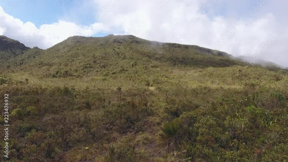 Flying low over the biologically diverse and endemic vegetation with dwarf palms, bromeliads and shrubs on the plateau of Alto Paquisha Tepuy, Cordillera del Condor southern Ecuador bordering Peru. Flying low over the biologically diverse and endemic vegetation with dwarf palms, bromeliads and shrubs on the plateau of Alto Paquisha Tepuy, Cordillera del Condor southern Ecuador bordering Peru.