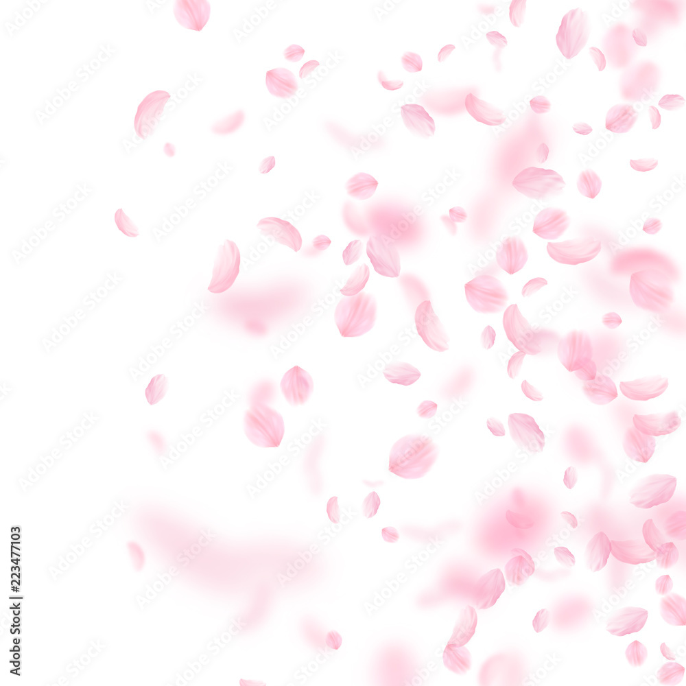 Sakura petals falling down. Romantic pink flowers gradient. Flying petals on white square background