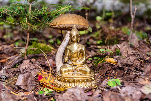 Εκτύπωση καμβά Golden Buddha Statue in a Forest with a Mushroom