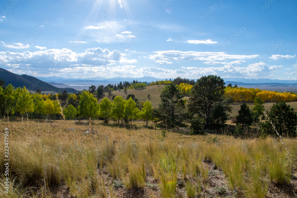 autumn landscape in the mountains