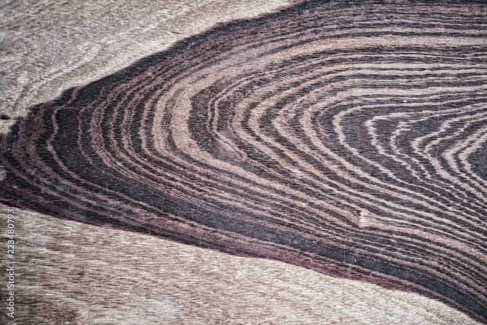 Patterns and textures of wood, natural brown tones. Patterns and textures of wood, natural brown tones.
