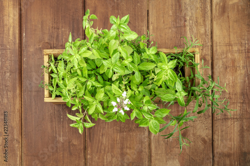 Overhead photo of a box with aromatic garden herbs, with copy space