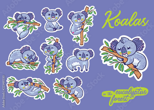 Sticker set with fun koalas in the eucalyptus. Vector illustration photo