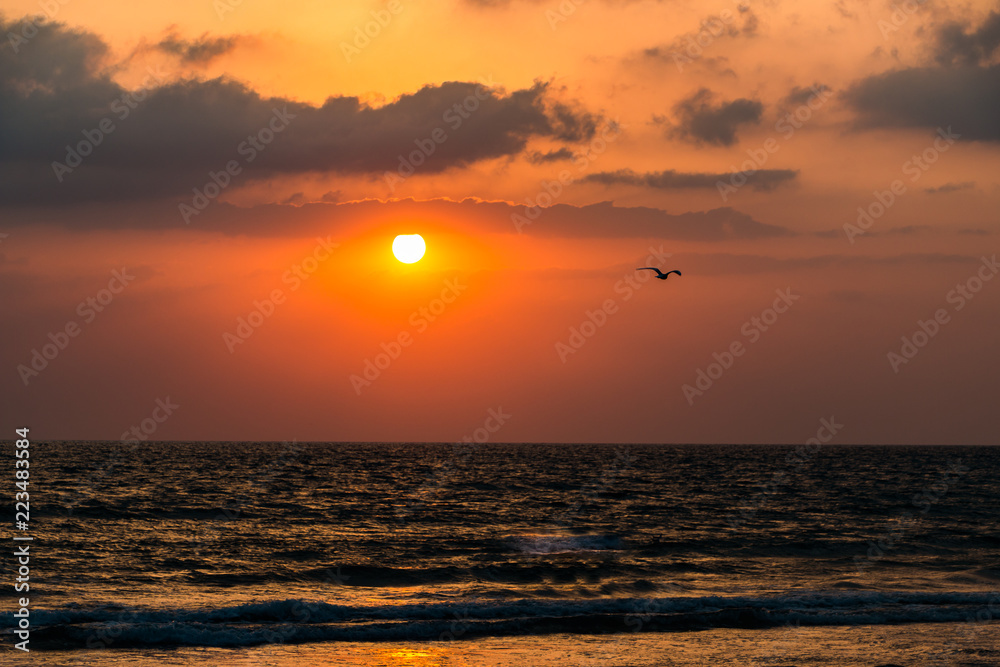 Sunset summer sun on the sea coast