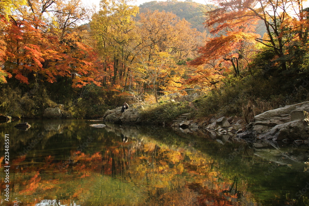 埼玉嵐山の鏡に映したような紅葉