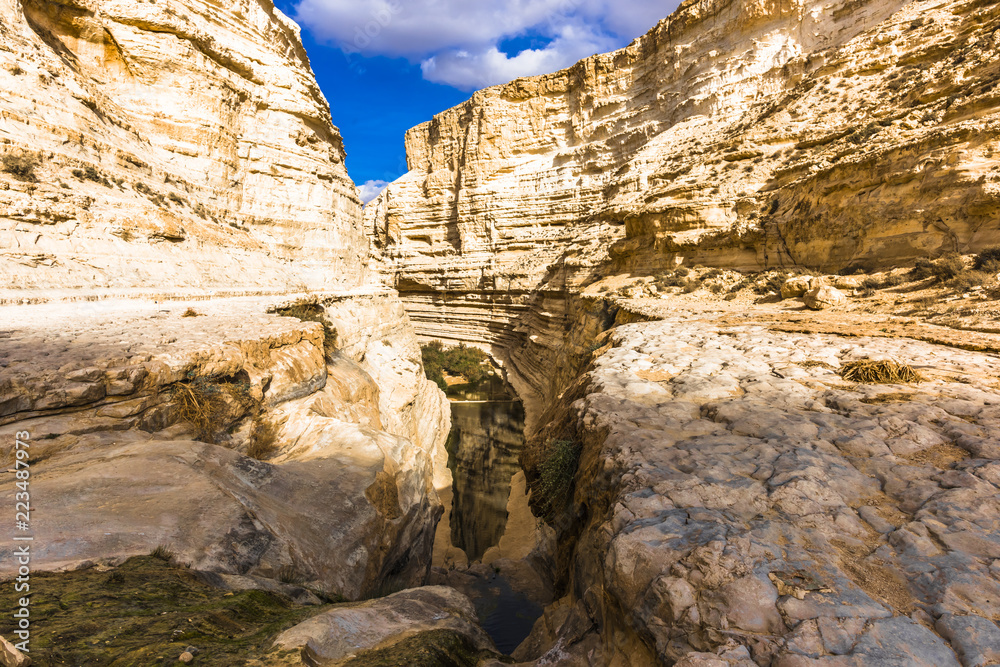 The scenery of the gorge of Ein Avdat in the Negev desert