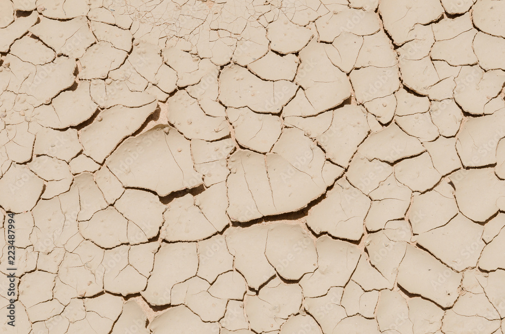 Fototapeta premium texture of cracked clay.