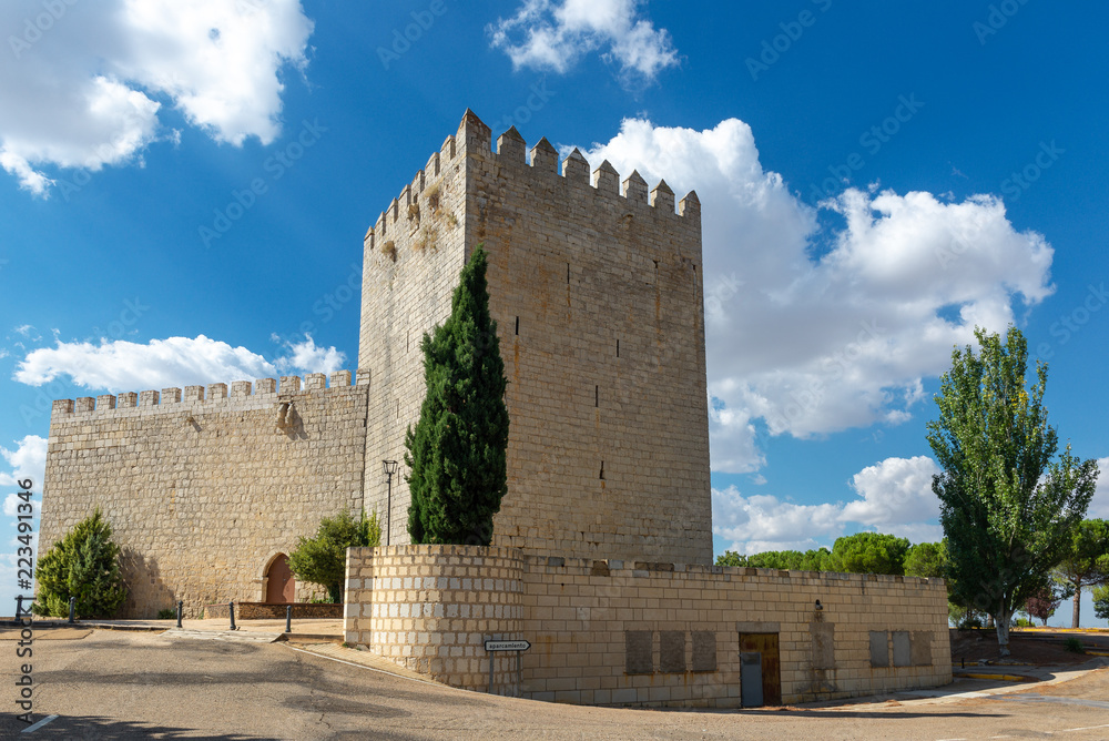 Monzon de Campos Castle in Palencia province, Spain
