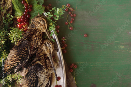 Wild hunting fowls in cooking. Two snipe or woodcock lie on metal dish. Hunting composition, outdoors. Wildfowl hunting. photo