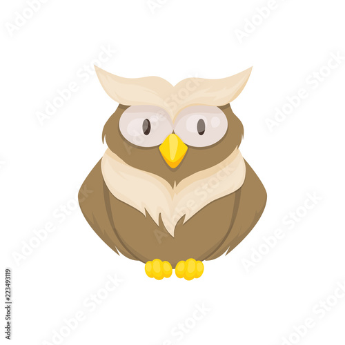 Owl bird animal vector character wild childish or baby fun forrest animal illustration.