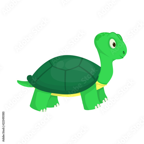 Turtle animal ocean green nature wildlife sea underwater reptile character vector illustration.