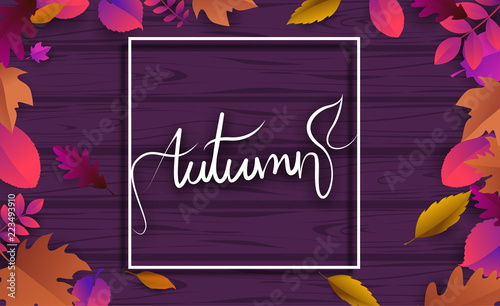Purple wooden textured autumn background with beautiful leaves.