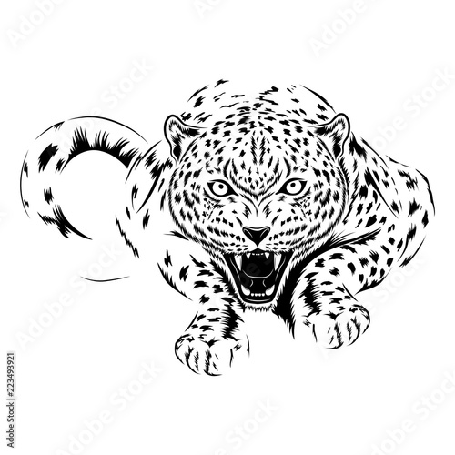 Vector image of a cheetah on a white background.