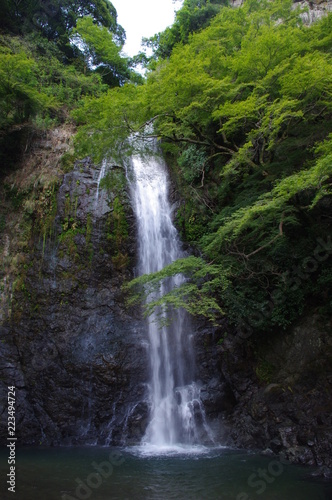滝 © 友代 石川