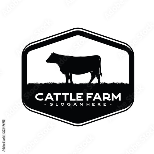 Vintage Cattle / Beef logo design inspiration vector