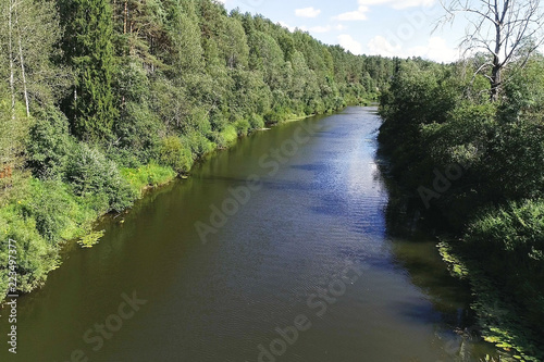 Aerial beautiful view of the river among the forest in sunny summer day.