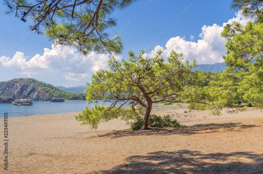 Antique bay of Kemer is a picturesque place near the ruins of the ancient city of Phaselis, founded in the 7th century BC Antique bay of Kemer is a picturesque place near the ruins of the ancient city of Phaselis, founded in the 7th century BC