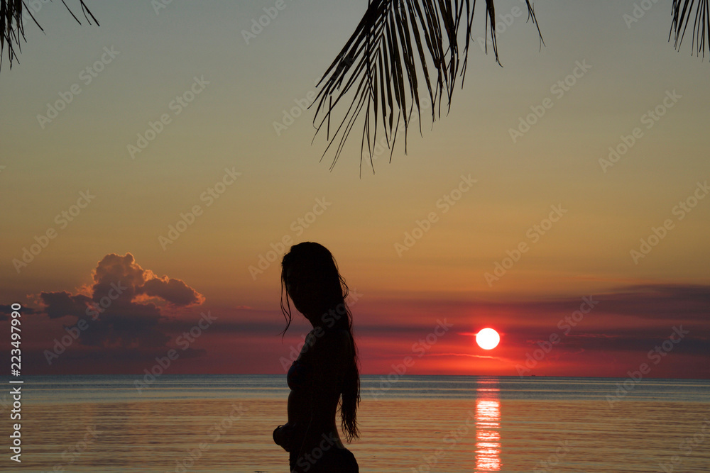 silhouette of young woman standing on the beach in bikini at sunset on ...