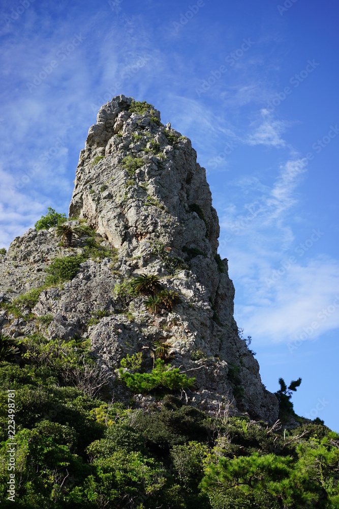 陸ギタラ 陸ギタラ