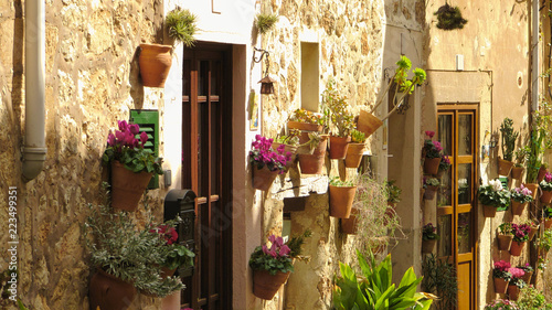 An typical street of Valldemossa - Mallorca Island, Spain