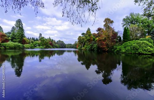 English autumn with Sheffield lake and trees in Uckfield  East Sussex  United Kingdom