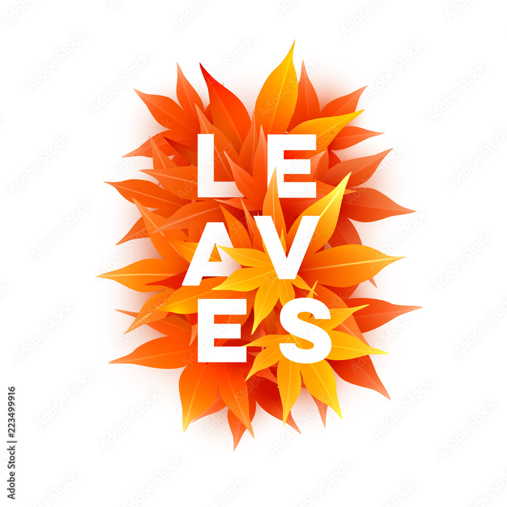 Realistic autumn maple leaves with text. Momiji. Vector illustration isolated on white. Realistic autumn maple leaves with text. Momiji. Vector illustration isolated on white.