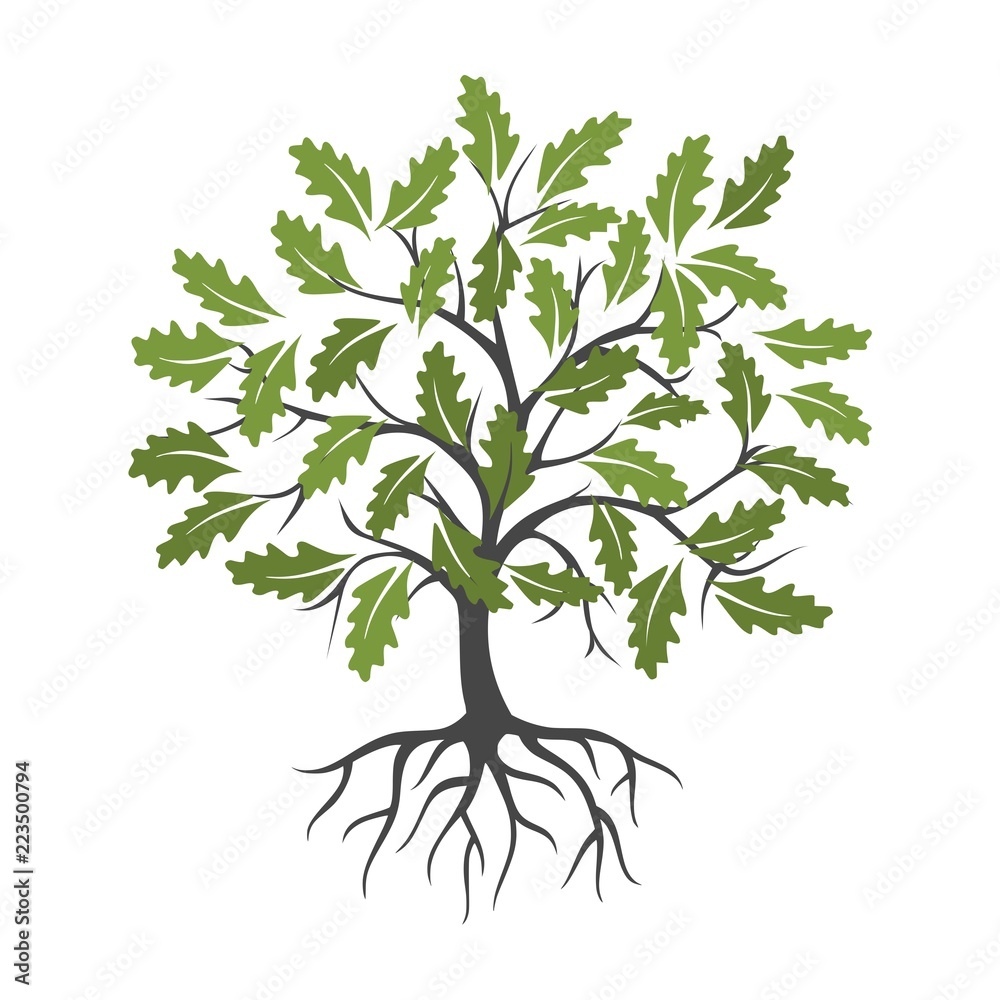 Obraz premium Tree and root icon