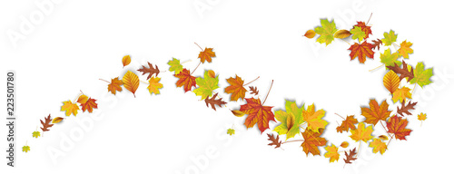 Herbstlaub im Wind