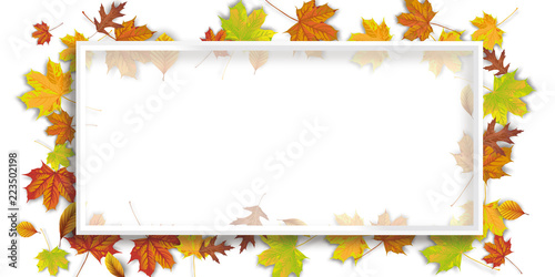 Bildrahmen mit Herbstlaub