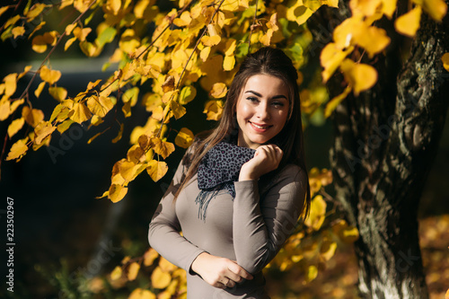 Young and pretty brunette girl in a dress and scarf stands near a beautiful big yellow tree