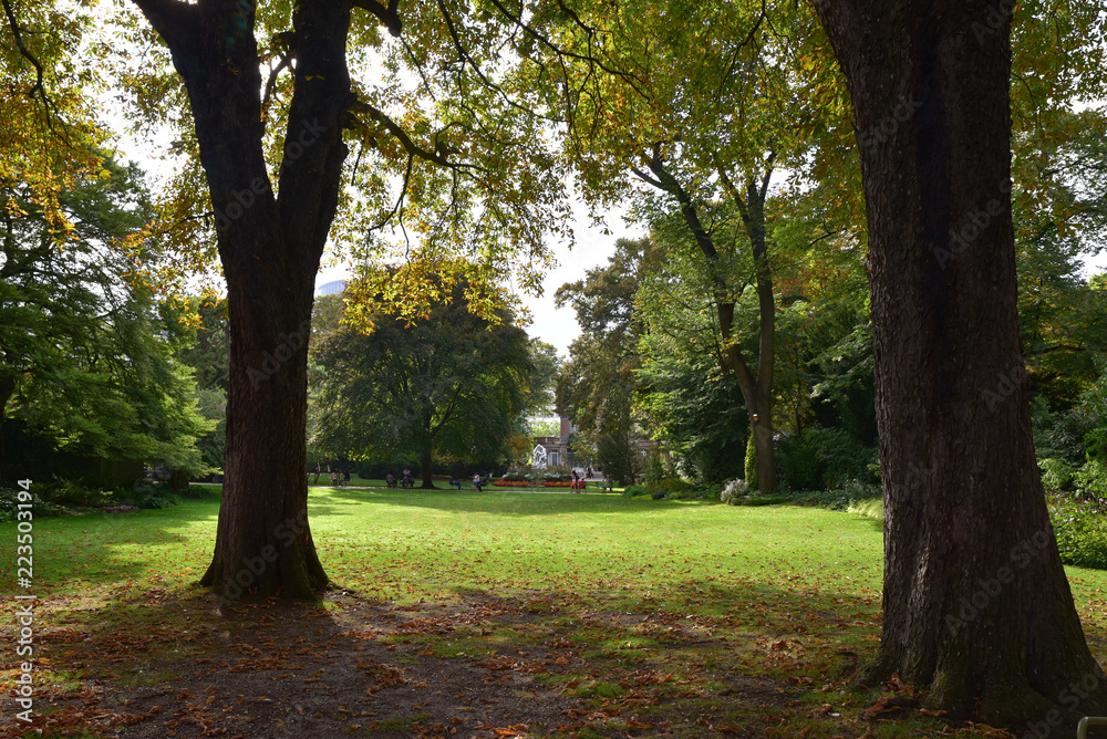 Sous-bois du jardin du Luxembourg à Paris, France