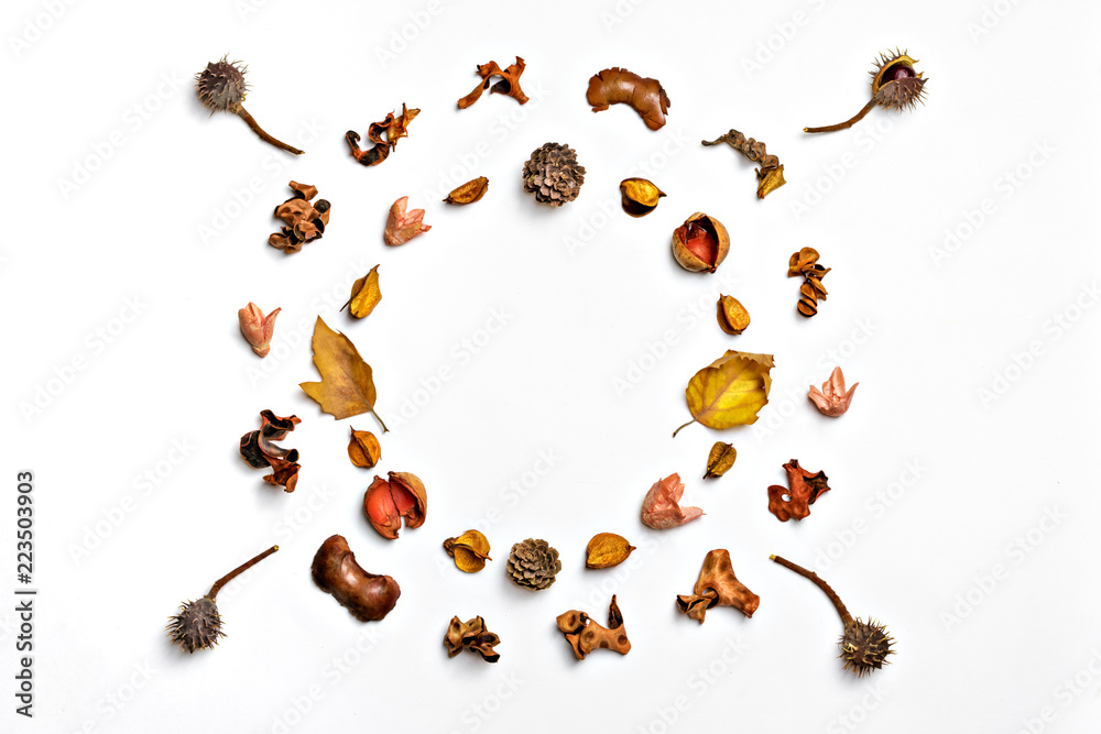 Creative pattern arrangement. Autumn composition made of dried leaves, berries and flower on white background. Flat lay, top view, copy space, empty text,mock up Inscription Autumn sale Creative pattern arrangement. Autumn composition made of dried leaves, berries and flower on white background. Flat lay, top view, copy space, empty text,mock up Inscription Autumn sale