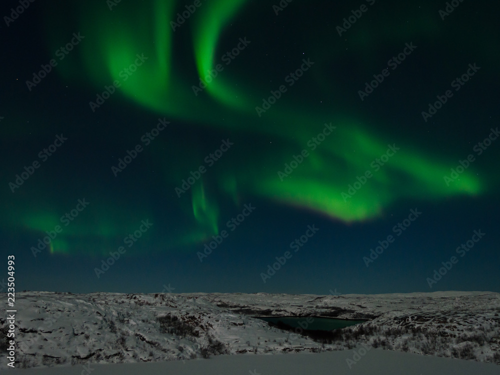 Aurora, Northern lights in the tundra in winter in the sky.