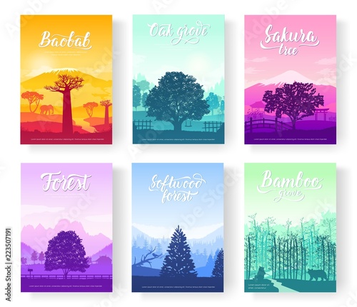 Types of trees from around the world. Beautiful parks from all over the planet. Colorful landscape forests trees. Set of ecology branch flyers design concept.