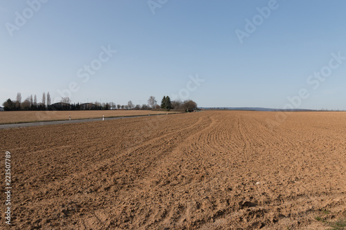 Field Ready for Planting