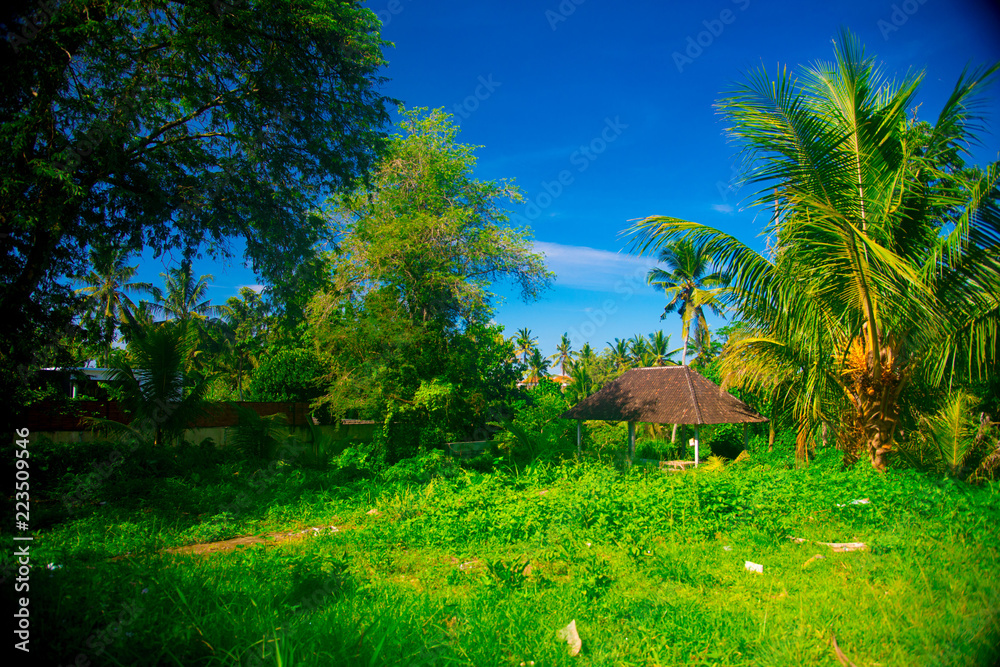 Landscape of the Bali island, Indonesia. Bali is an Indonesian island and known as a tourist destination. In Bali, rice harvest seasons come three times in a year. Landscape of the Bali island, Indonesia. Bali is an Indonesian island and known as a tourist destination. In Bali, rice harvest seasons come three times in a year.